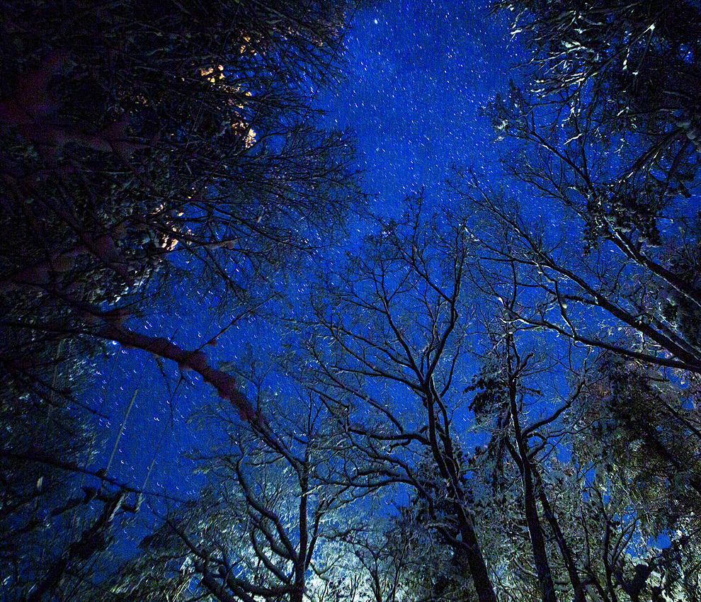 落水邸 星空