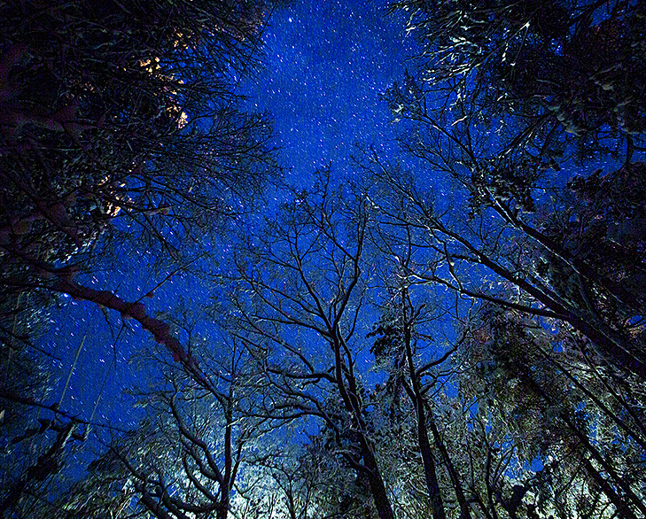 冬の星空