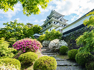 郡上八幡城