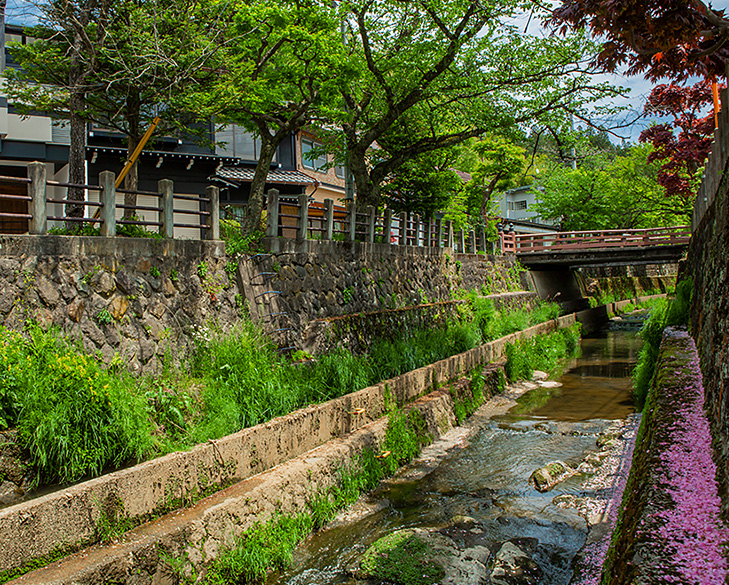 夏の江名子川