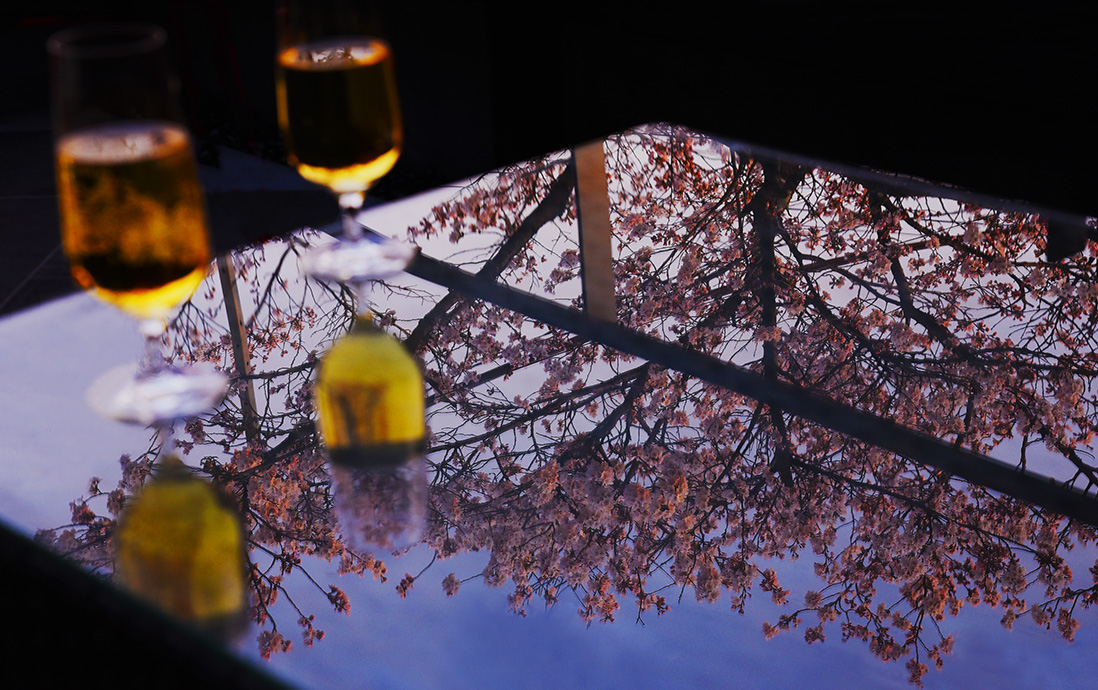 桜テラスで乾杯