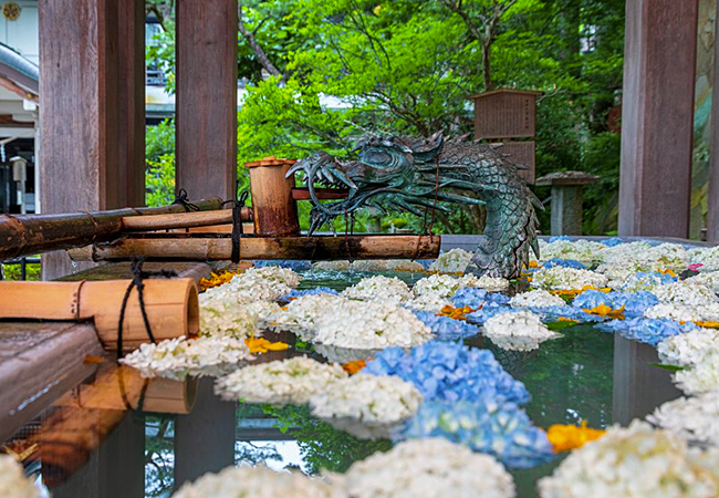 櫻山八幡宮の花手水