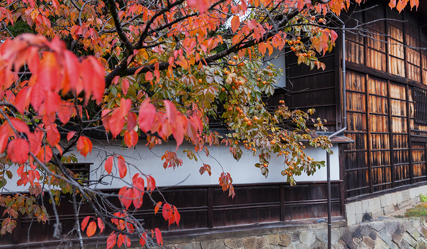 秋の江名子川沿い