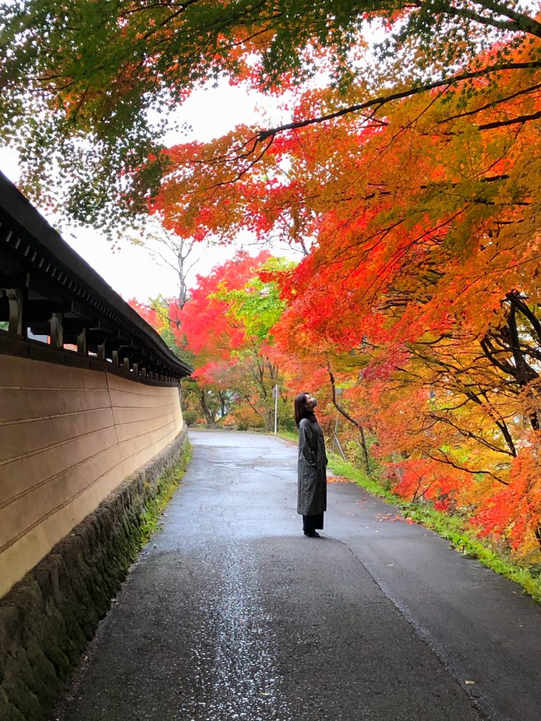 すみや 青花の紅葉さんぽ〜城山公園〜